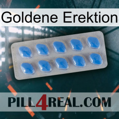 Golden Erection 22